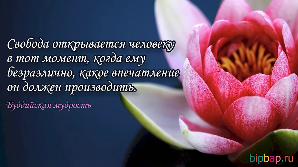 Красивые картинки на статус