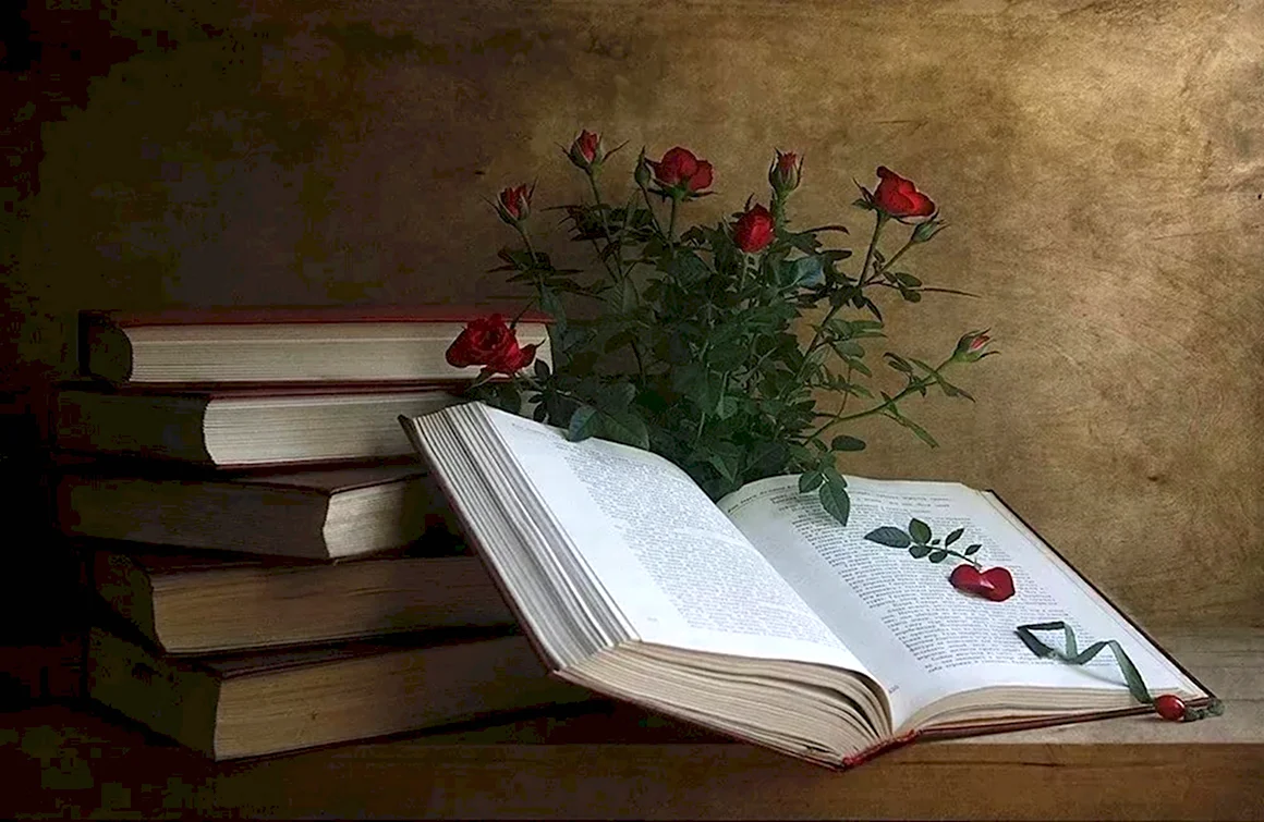 Красивые книги