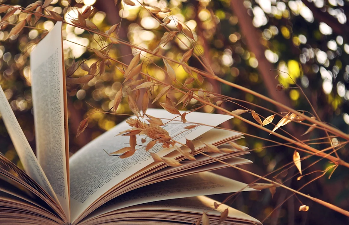 Красивые книги