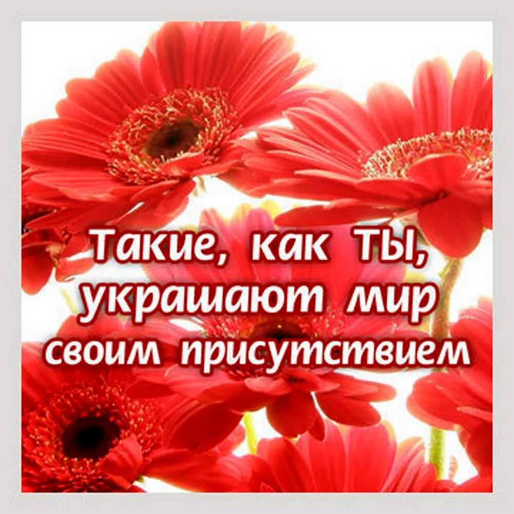 Красивые комплименты девушке