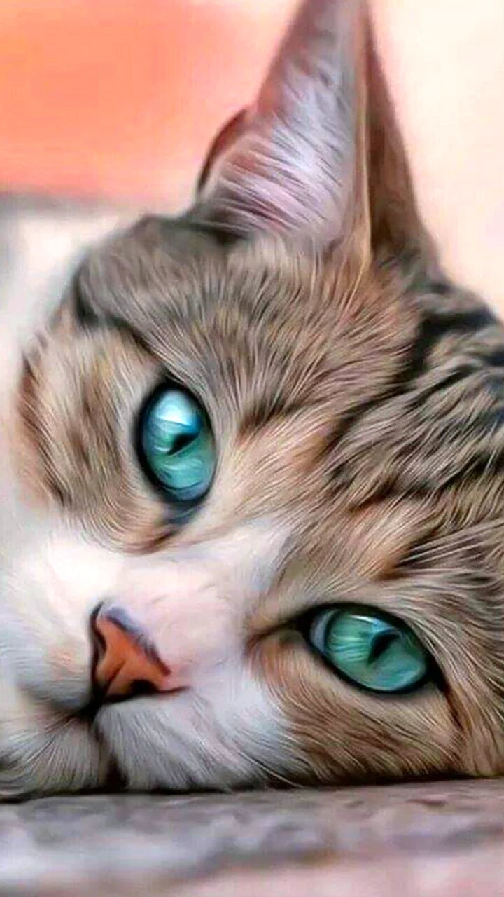 Красивые коты