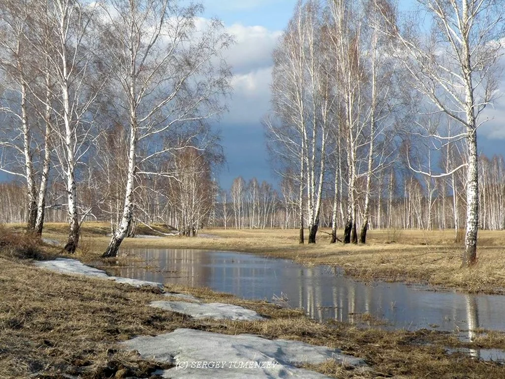Красивые пейзажи ранней весны