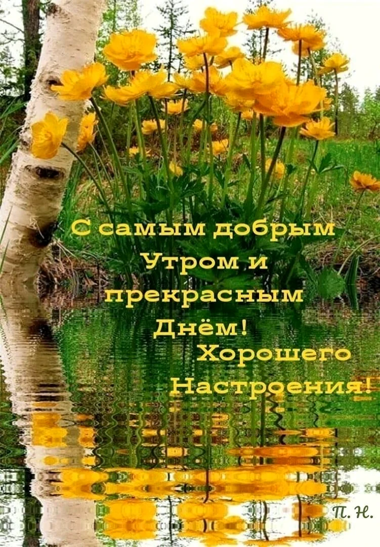 Красивые поздравления с добрым утром природа