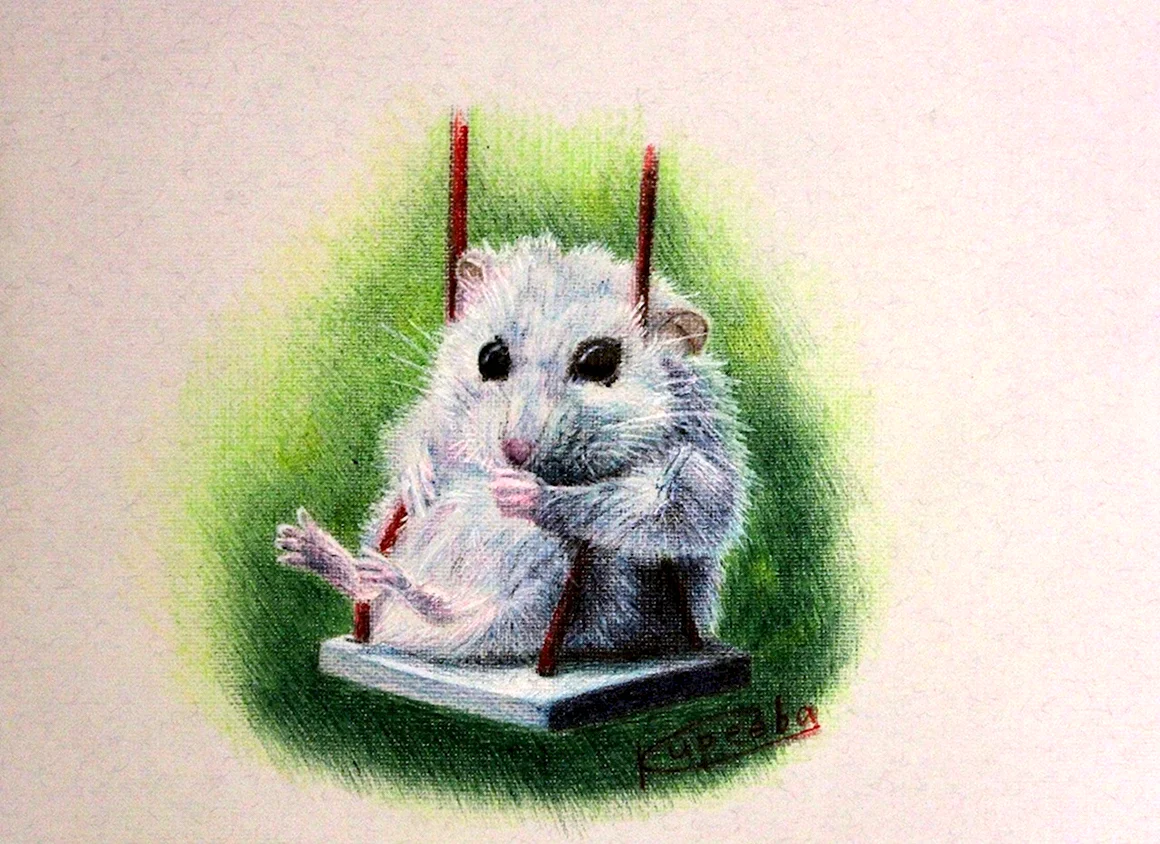 Красивые рисунки хомяков