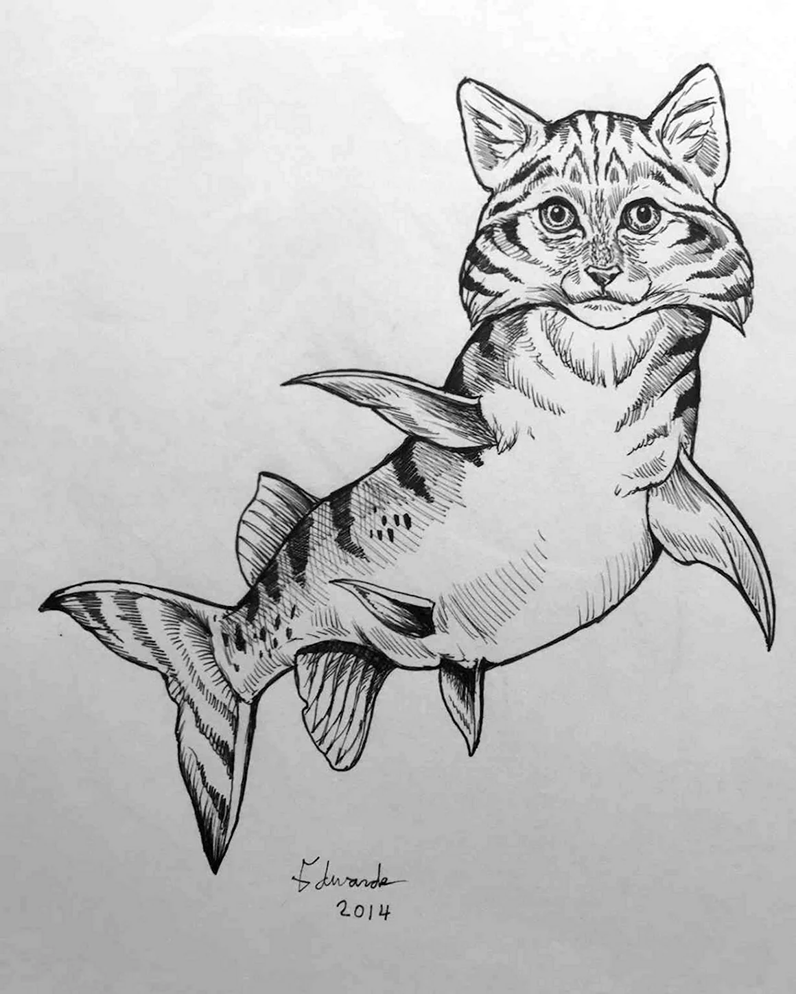 Красивые рисунки сома