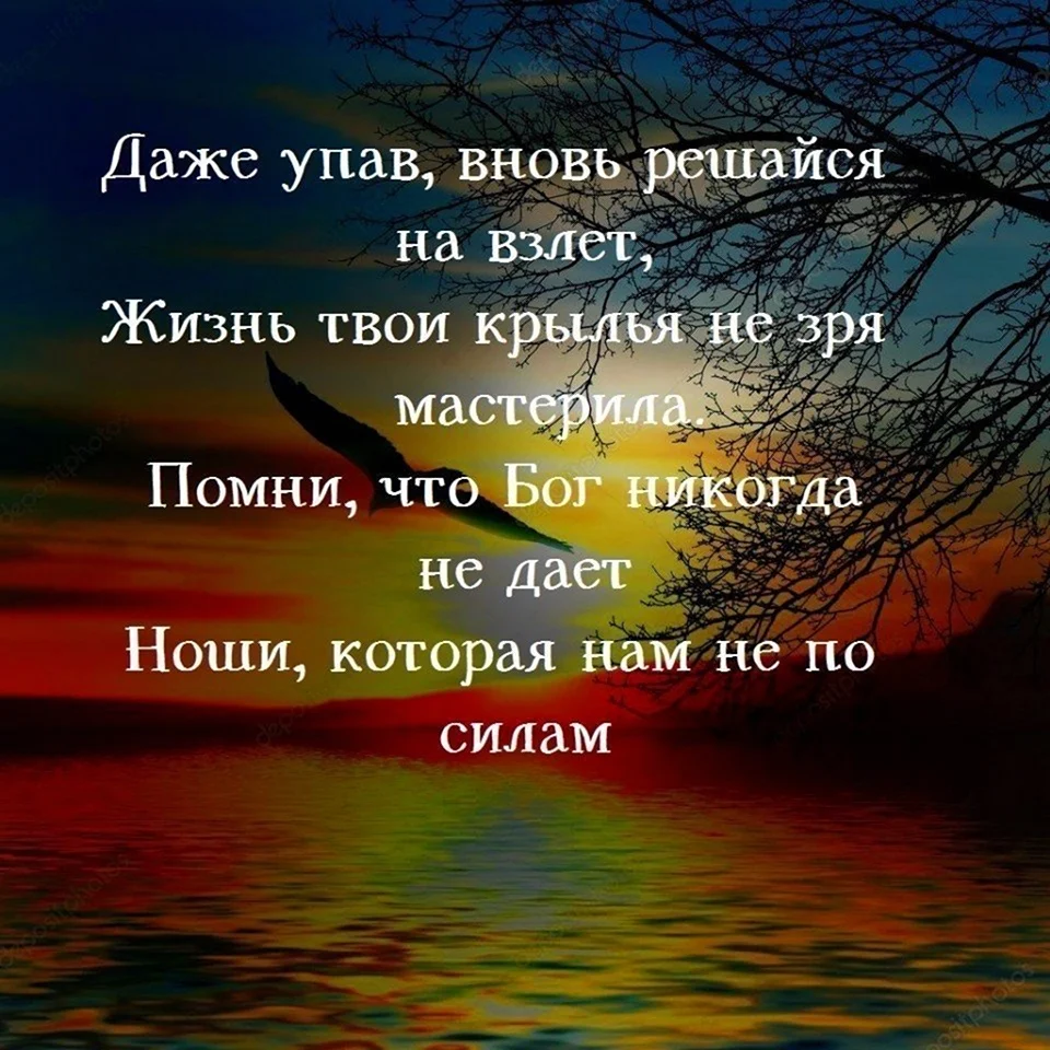 Красивые слова про жизнь