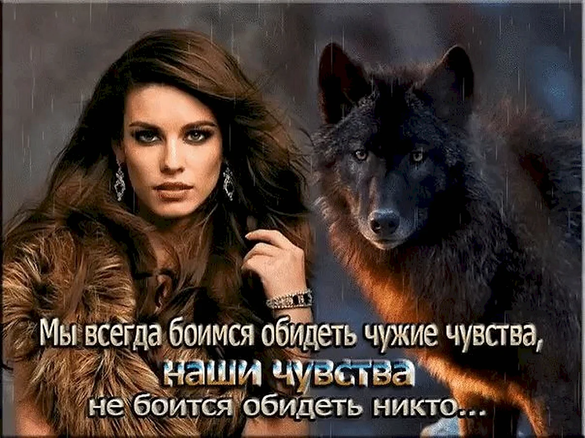 Красивые статусы про Волков