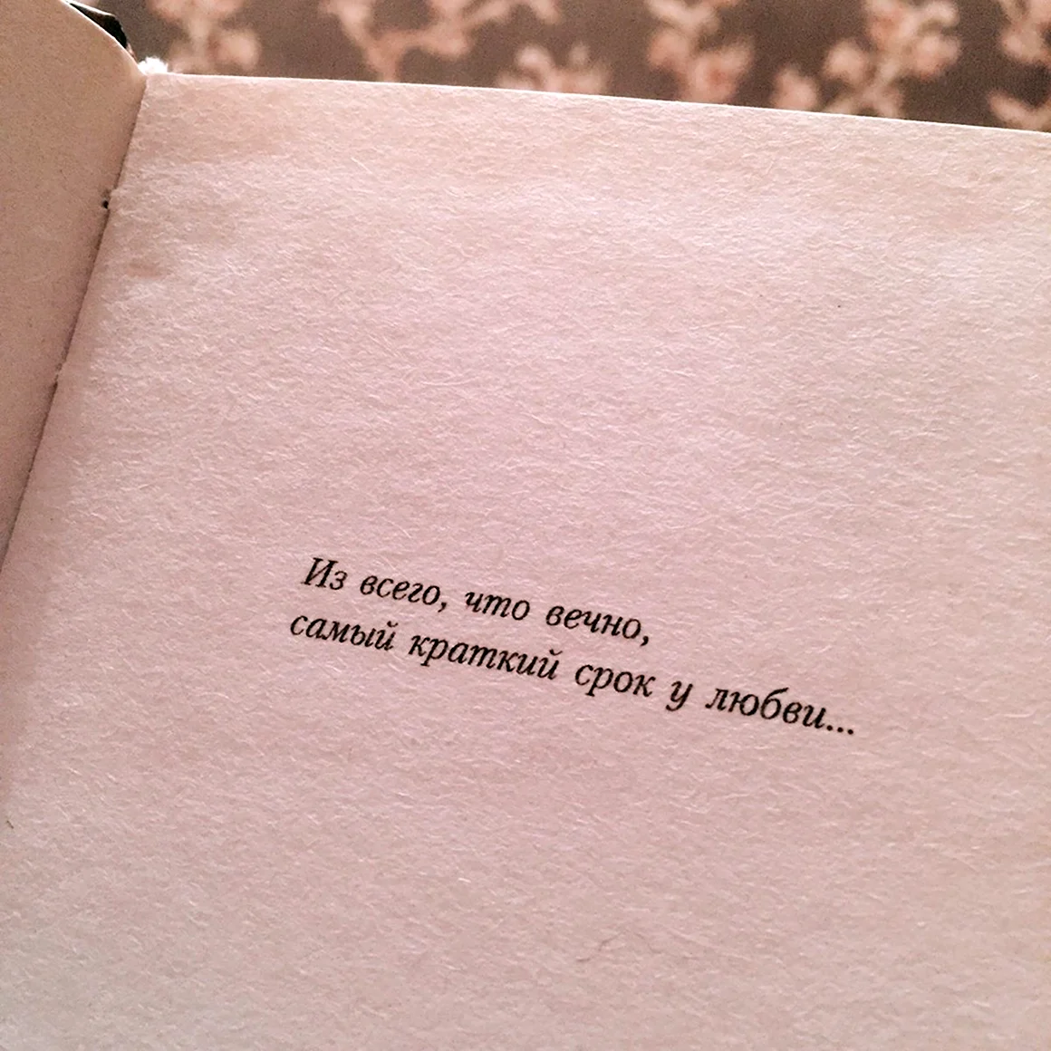 Красивые строки о любви из книг