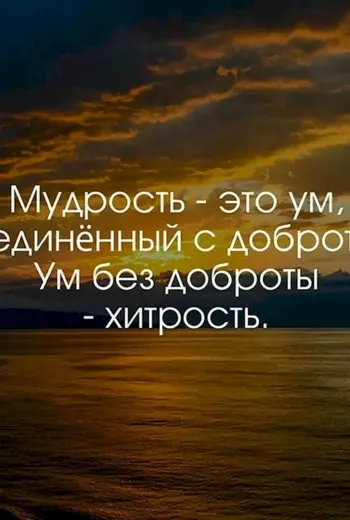 Красивые цитаты