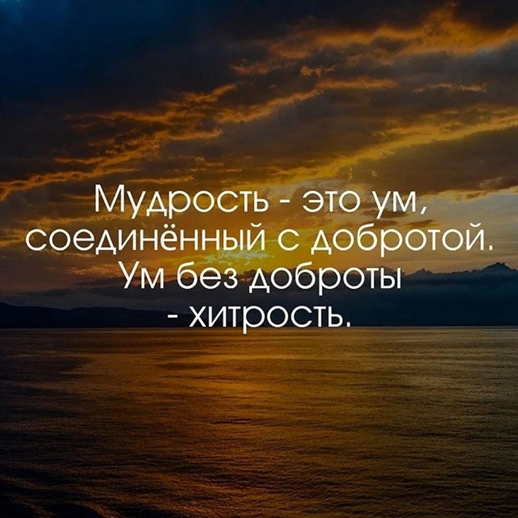 Красивые цитаты
