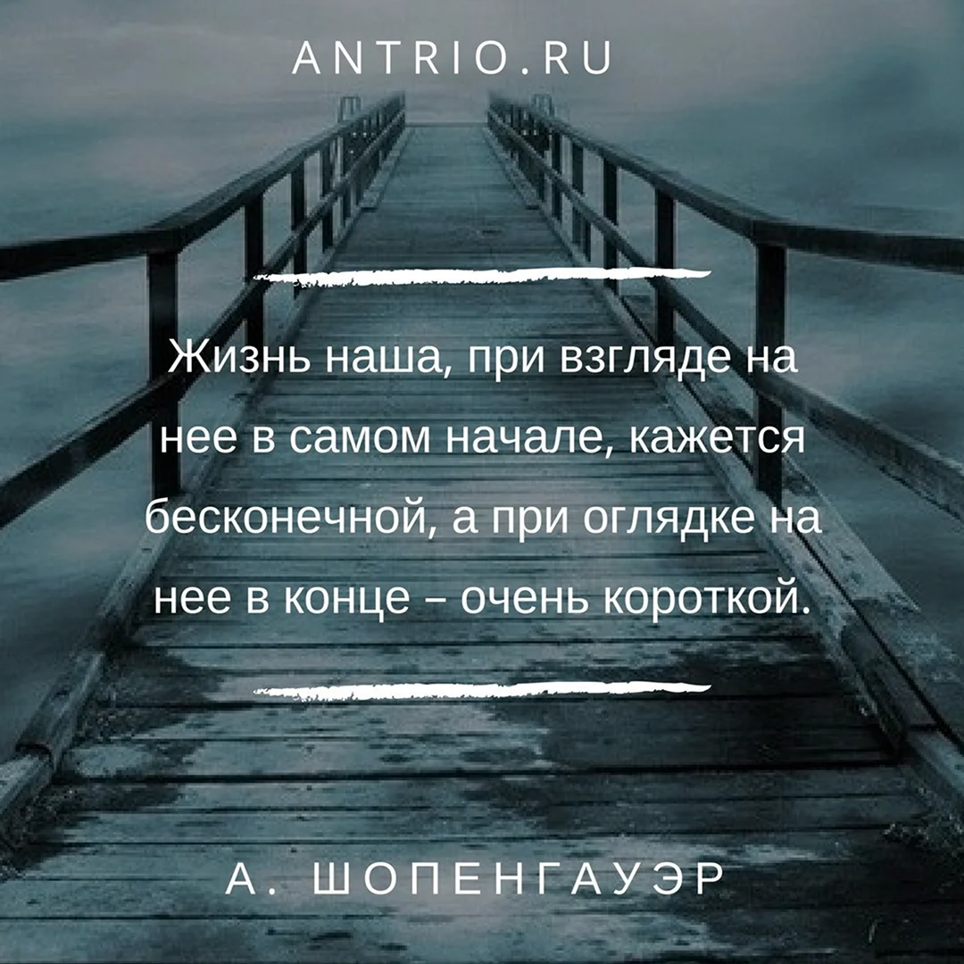 Красивые цитаты