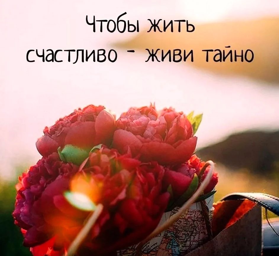 Красивые цитаты