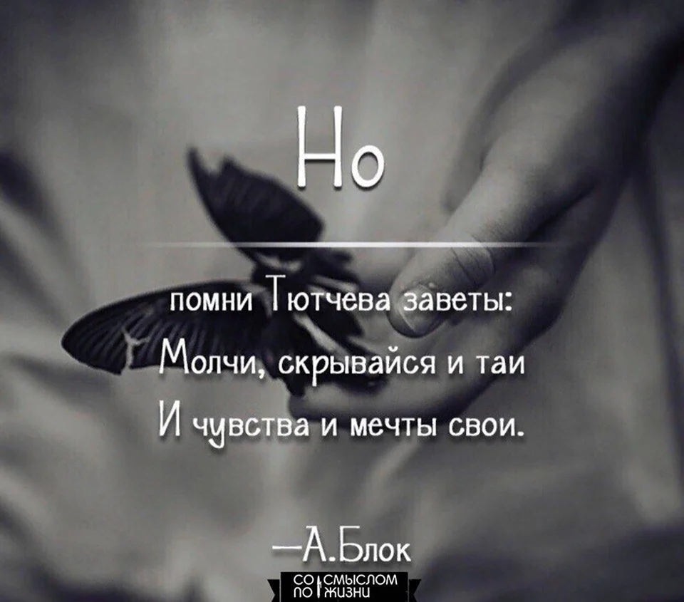 Красивые цитаты