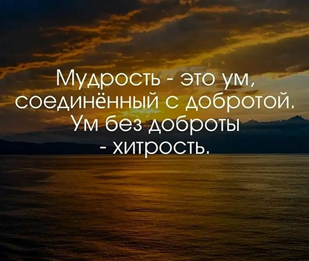 Красивые цитаты