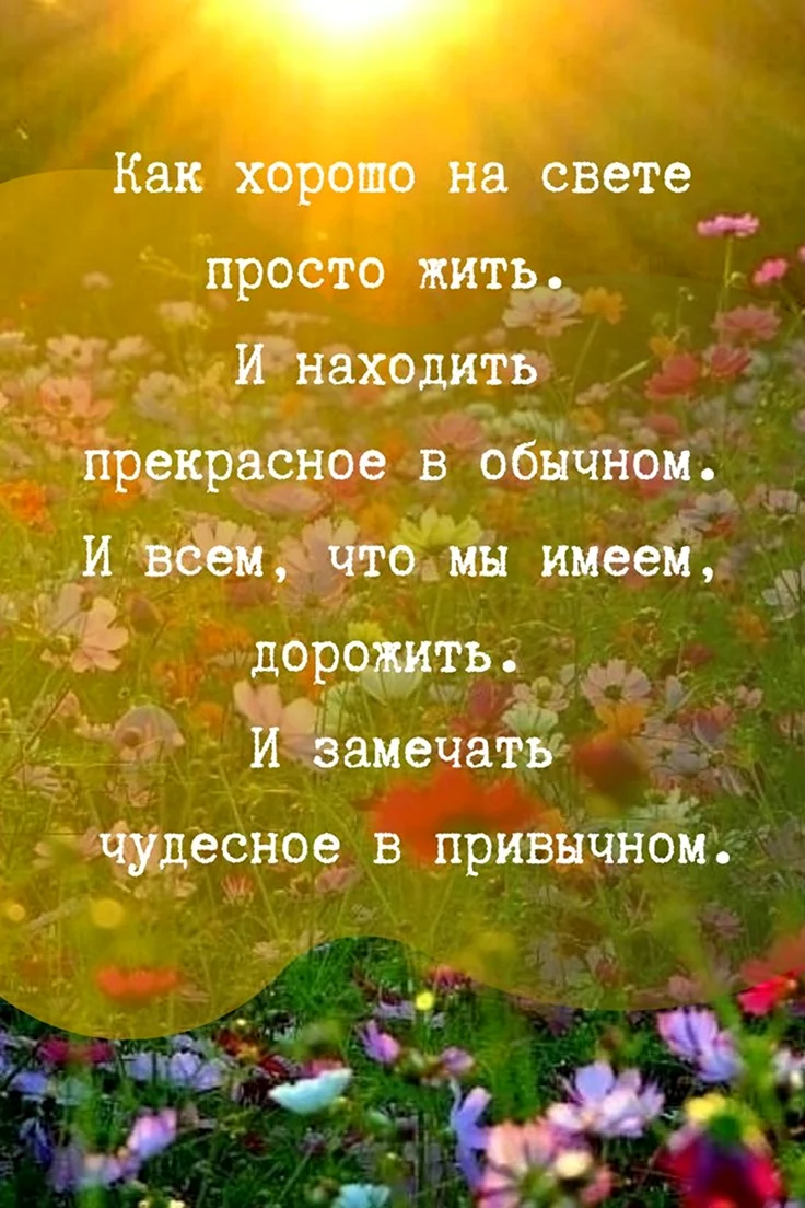 Красивые выражения с добрым утром