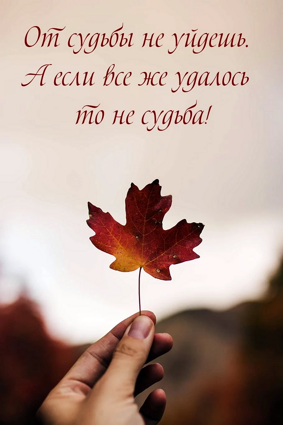 Красивыемвысказывания