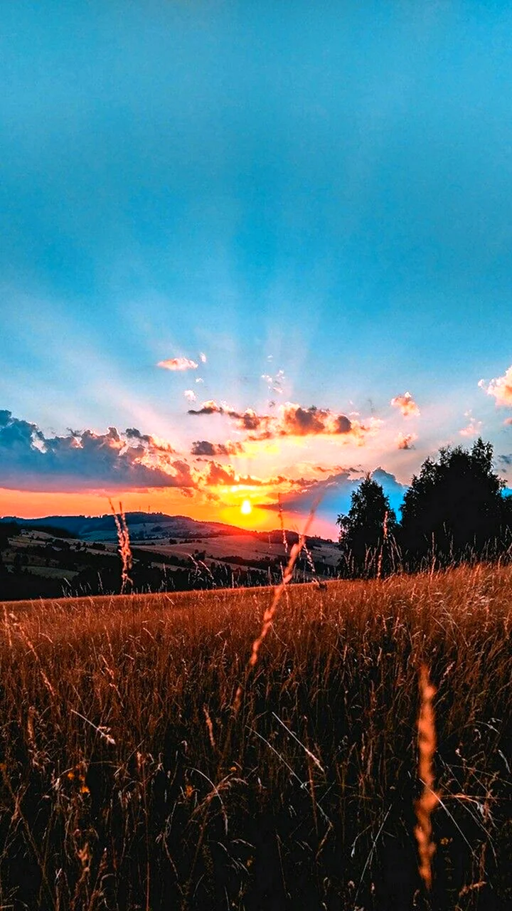 Красивый летний закат