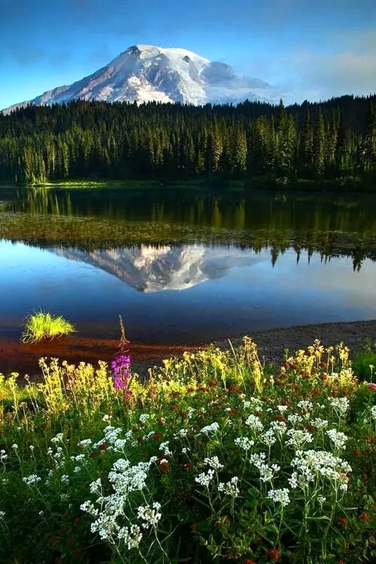 Красота природы