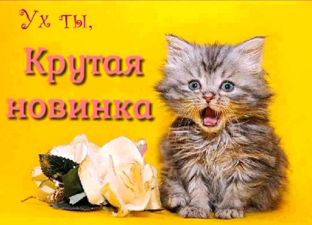 Красотка открытка