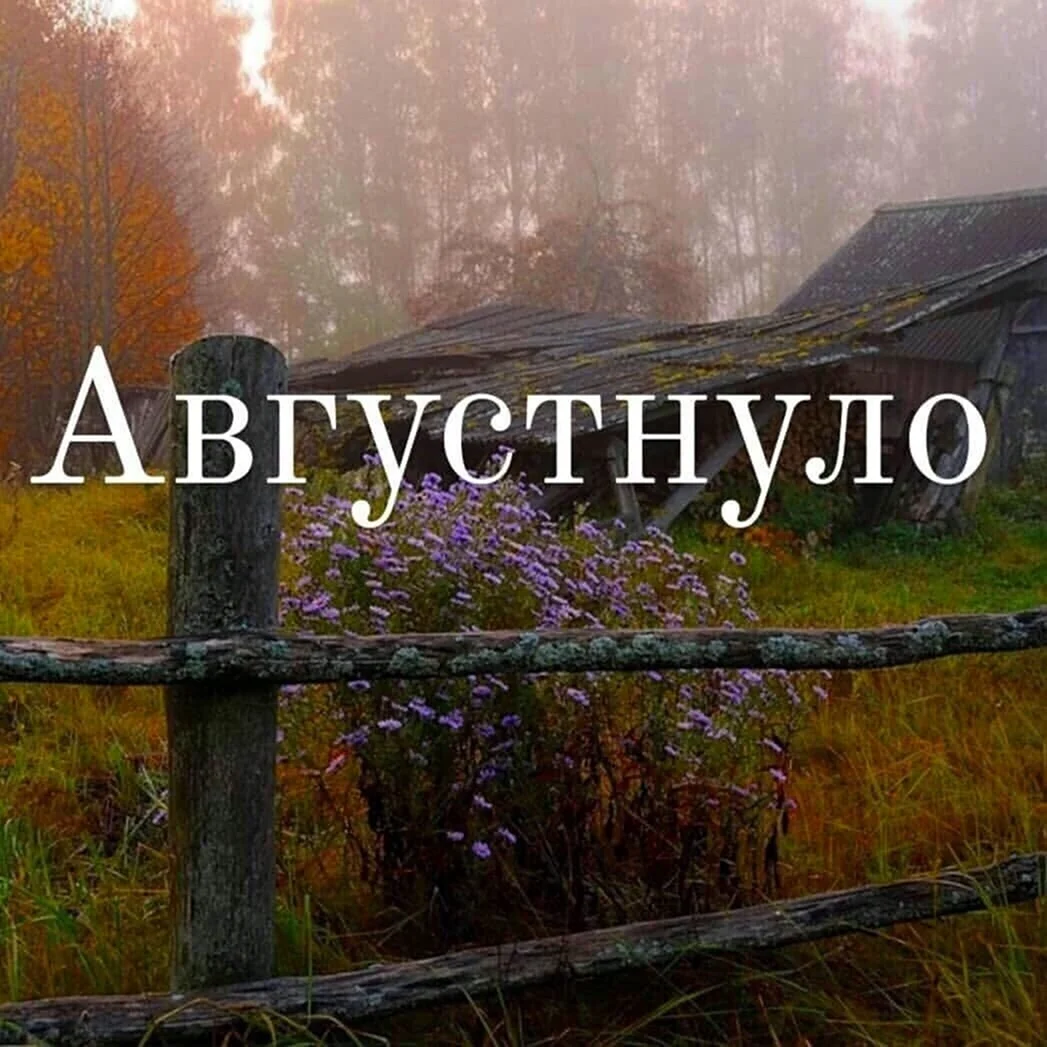 Кремлёва Кристина Камышлов