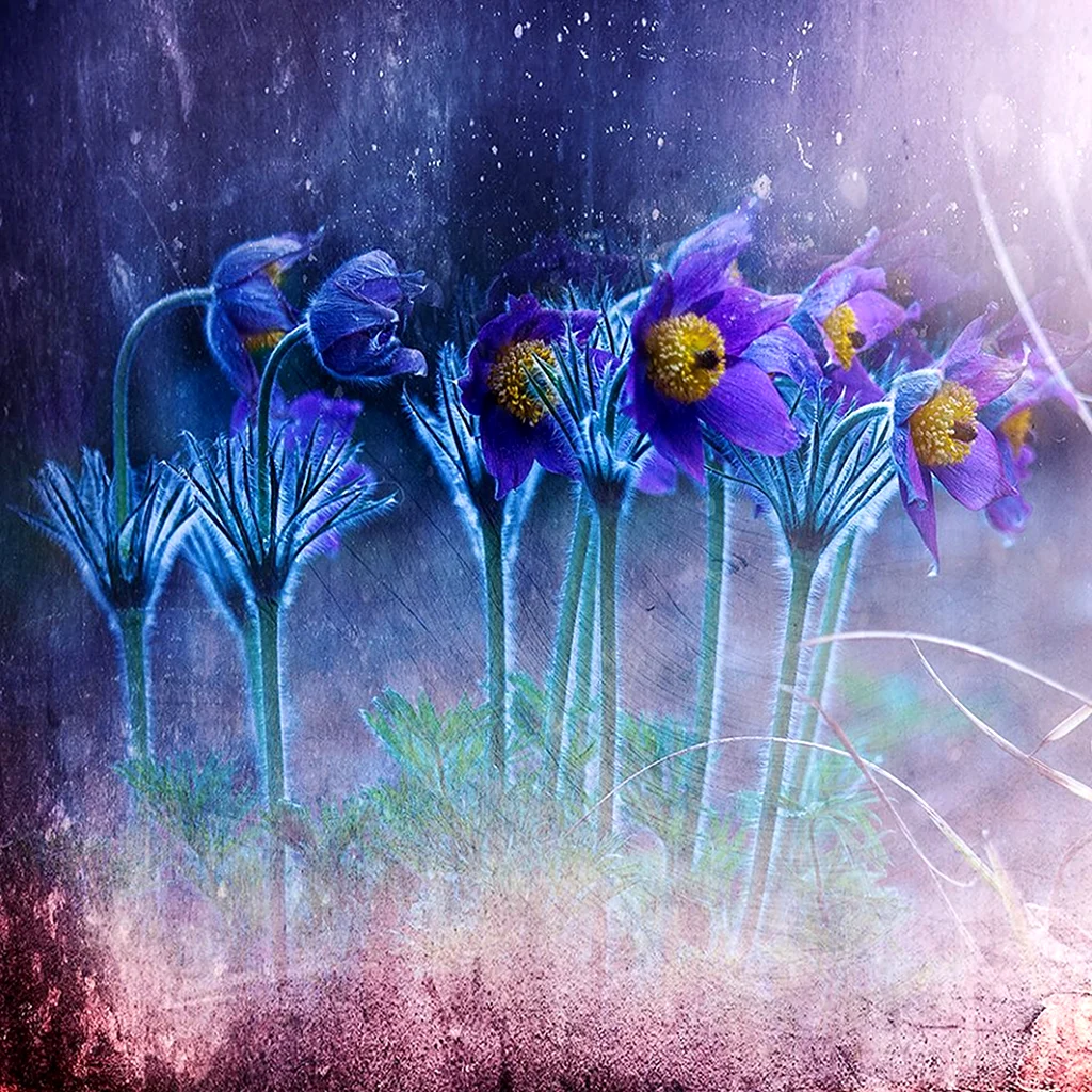 Кристин Эллджер Christine Ellger