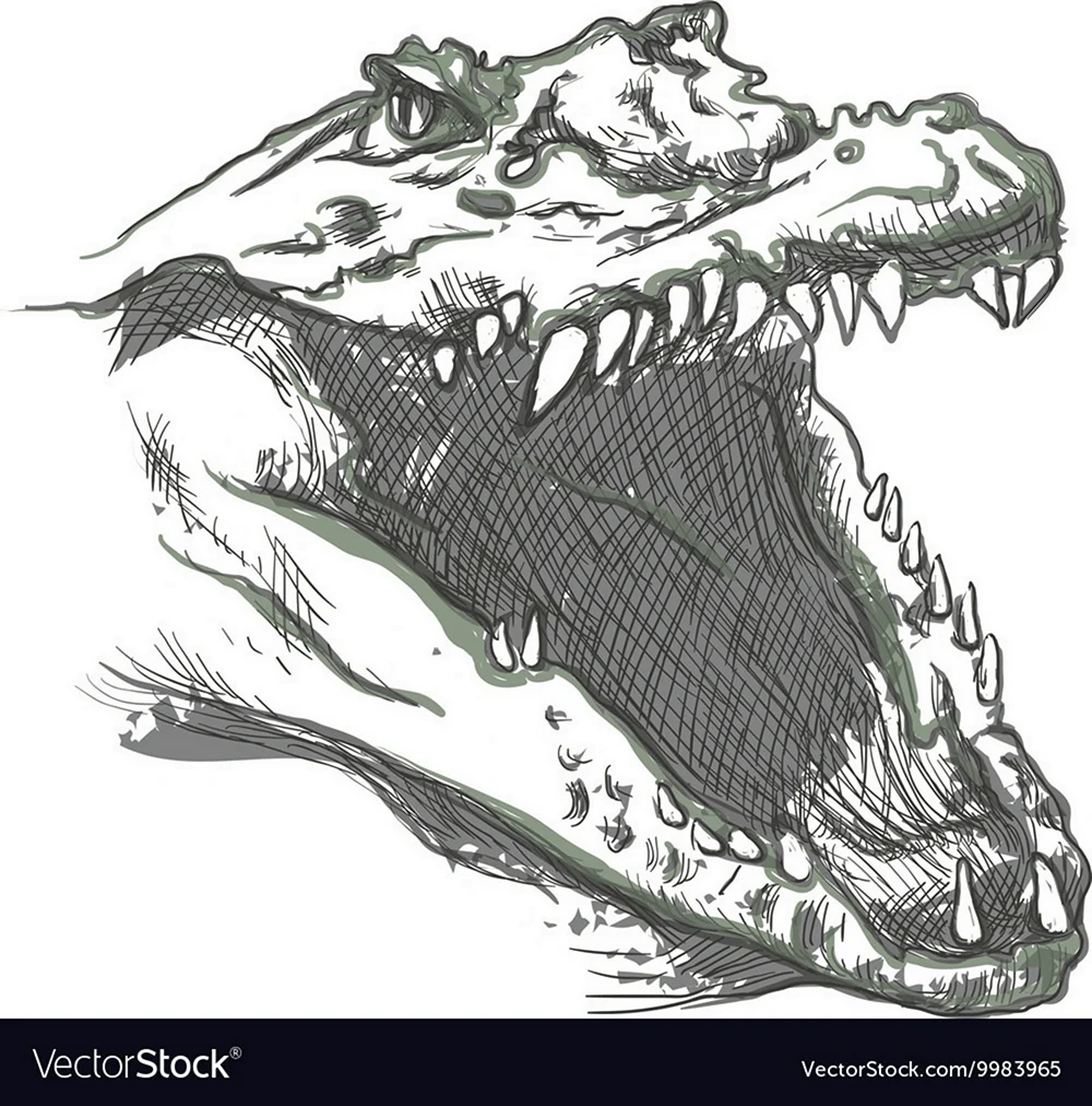 Крокодил