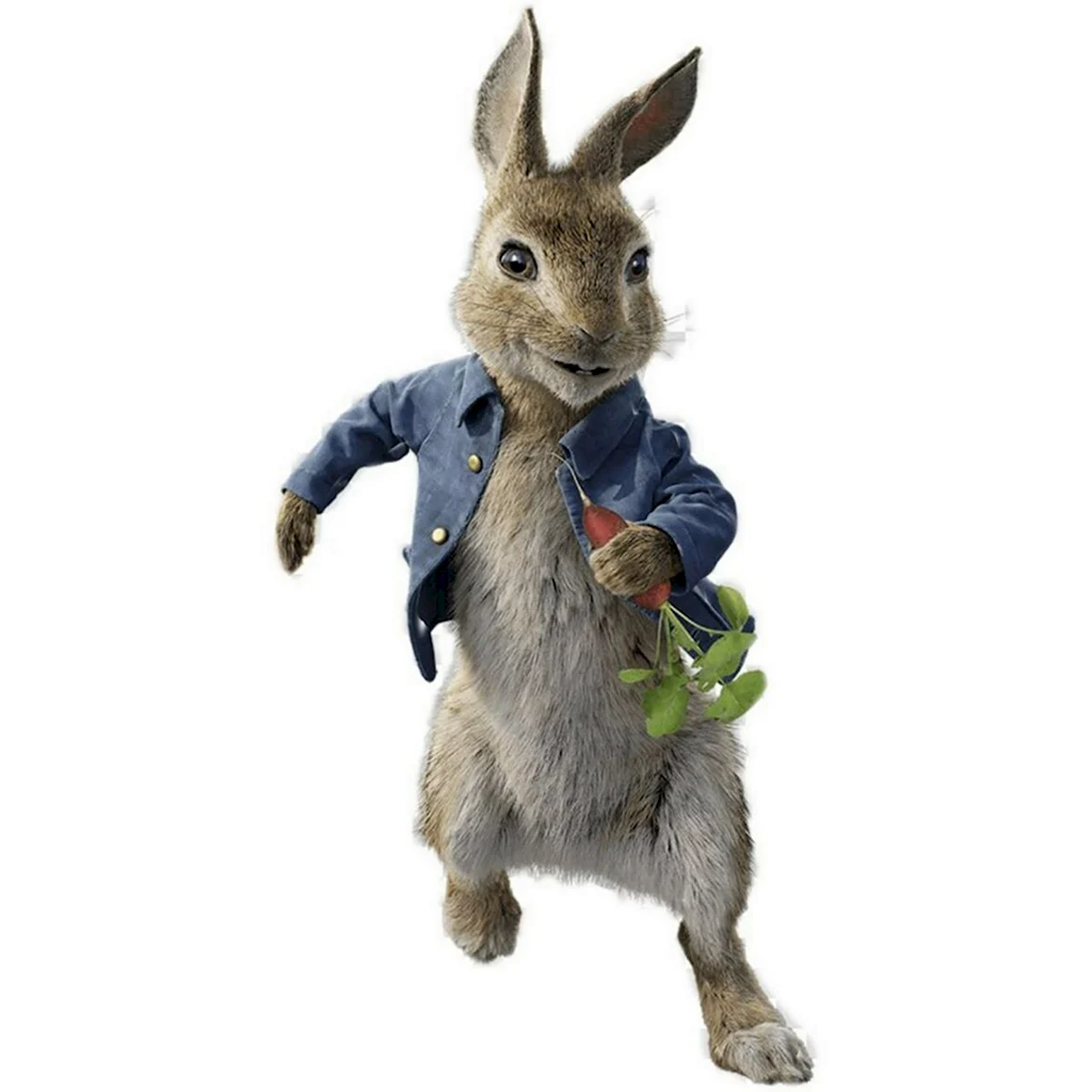 Кролик Питер 2018 Peter Rabbit