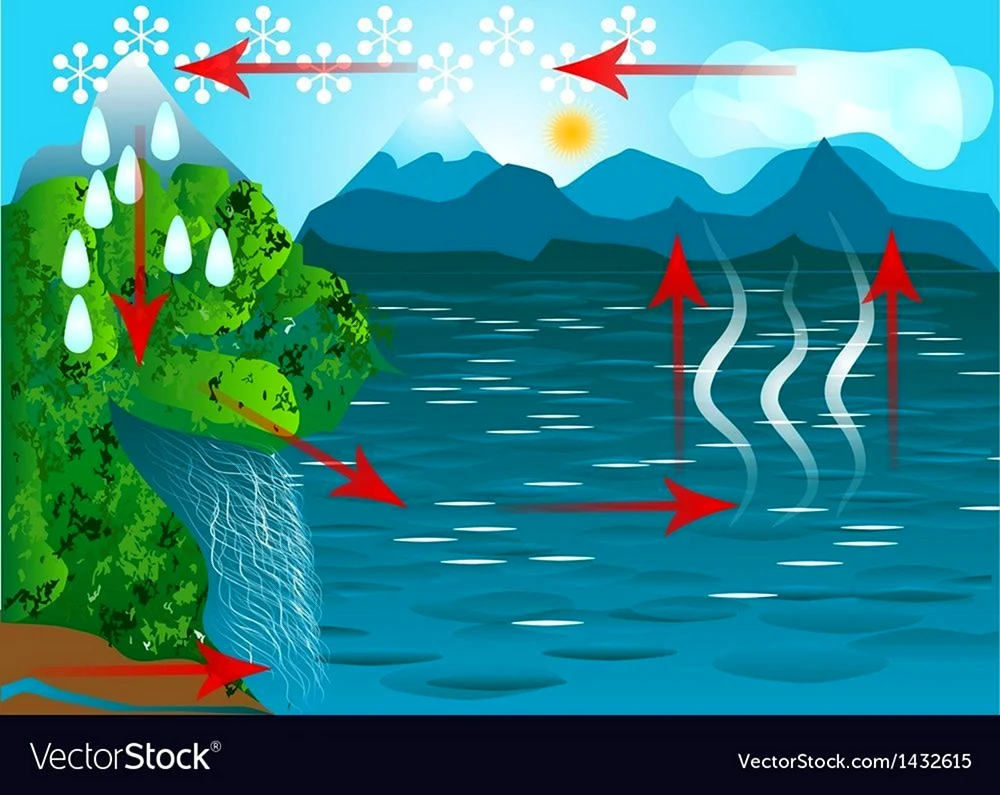 Круговорот в море