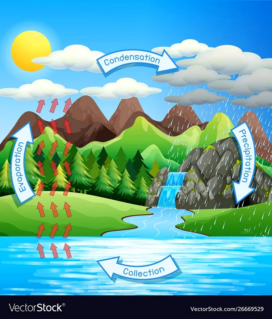 Круговорот воды вектор