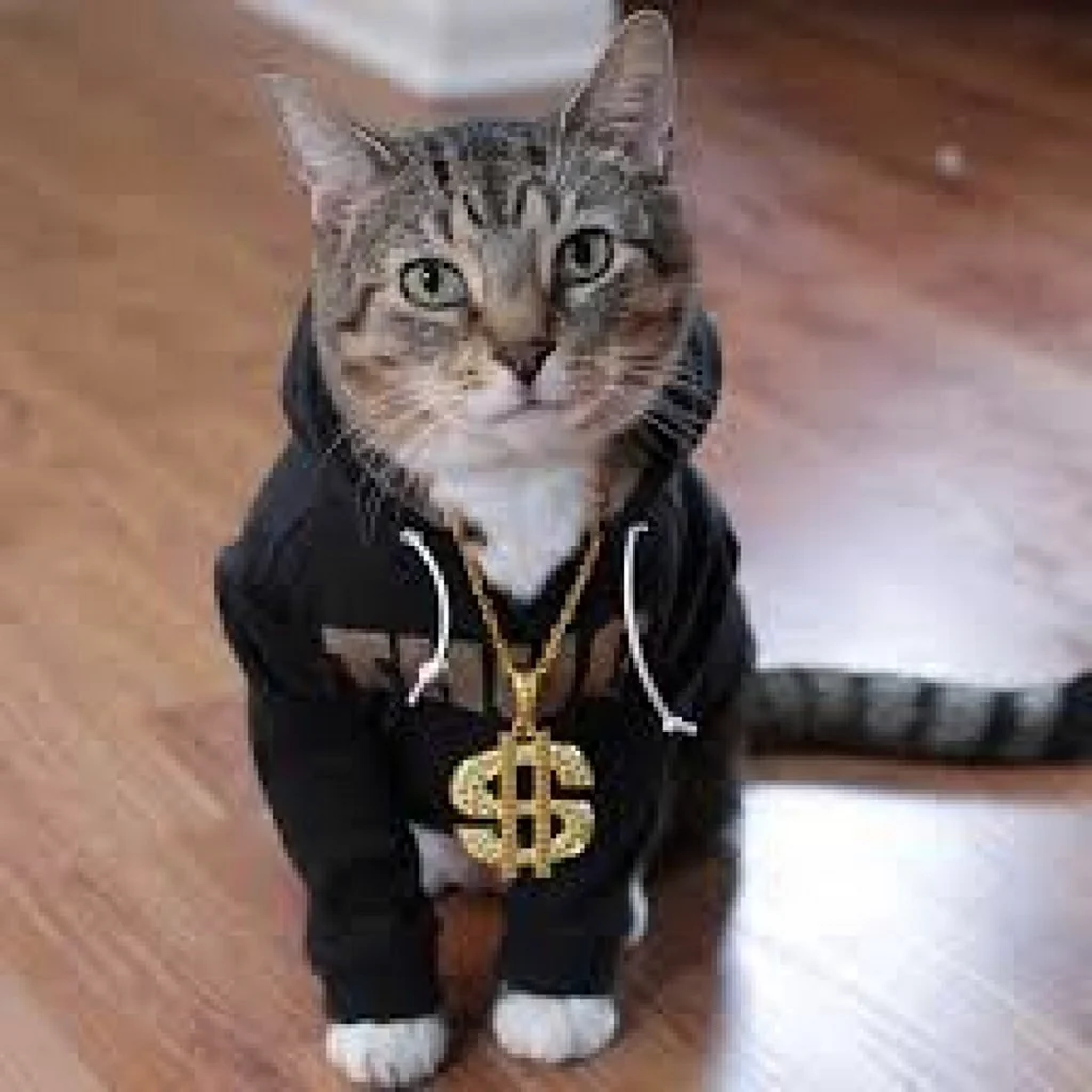 Крутой кот