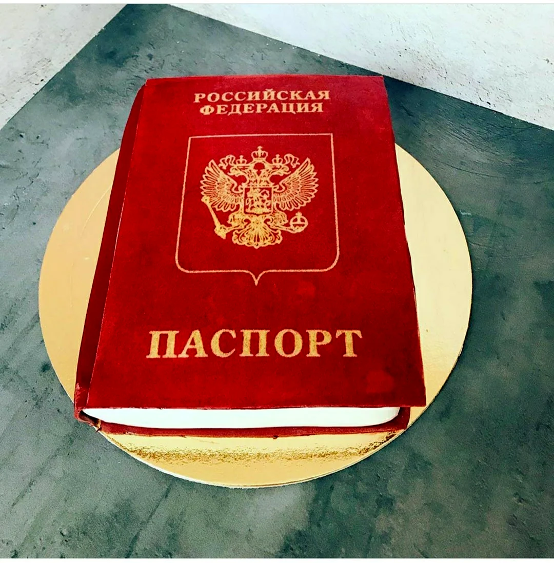 Кружка на получение паспорта