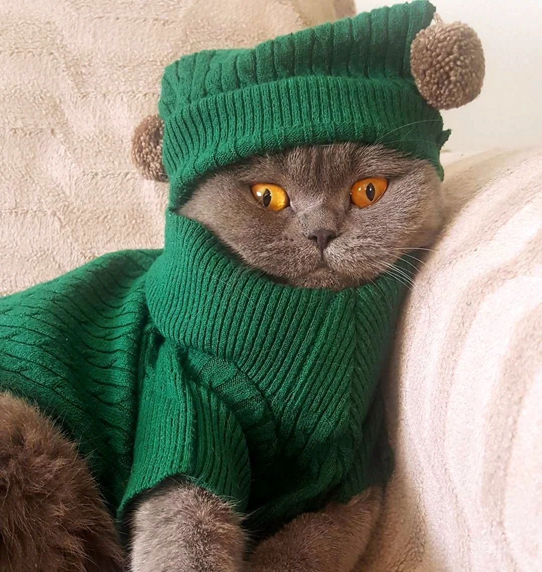 Ксения Котт