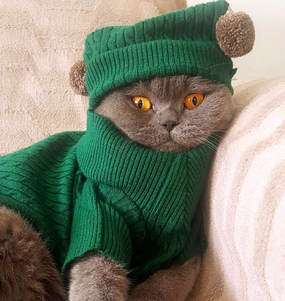Ксения Котт
