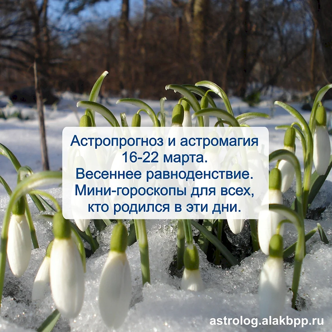 Кто в марте