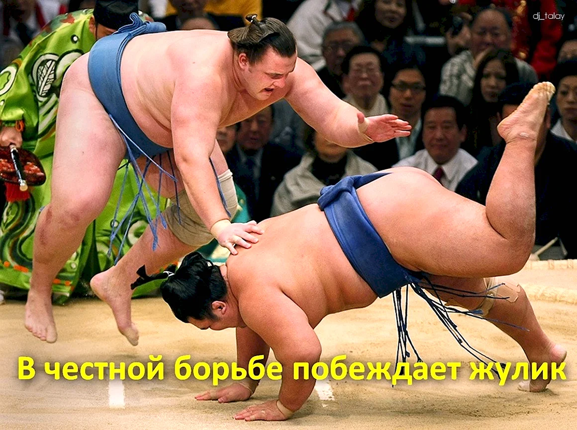 Кубок императора по сумо