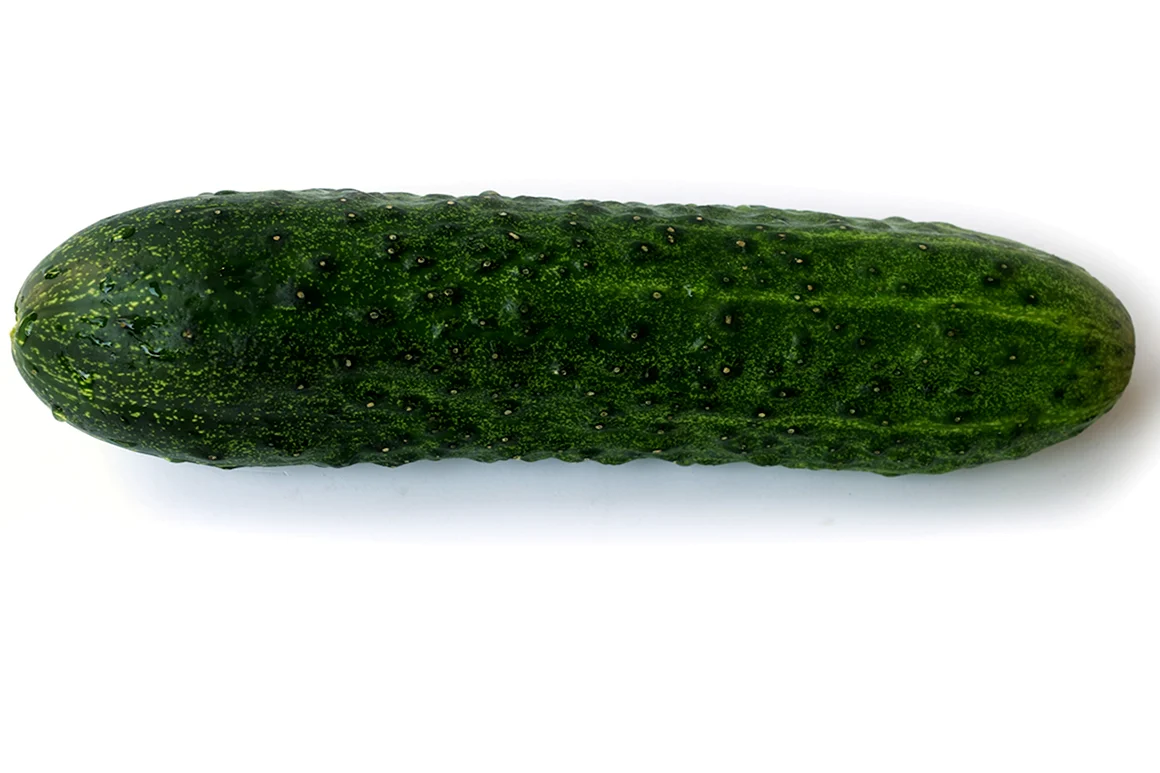 Кукумбер огурец
