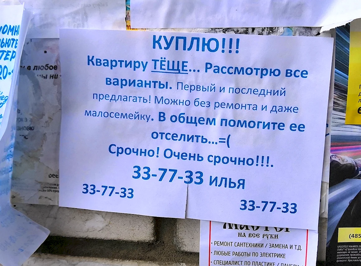 Куплю квартиру теще
