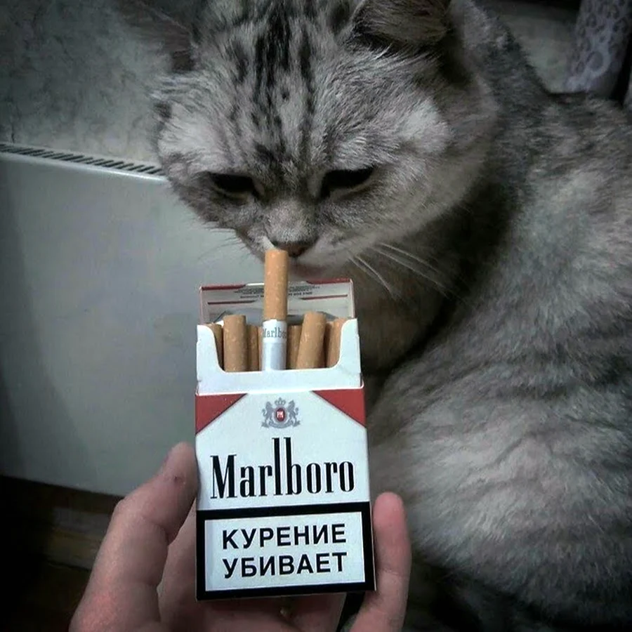 Курение убивает