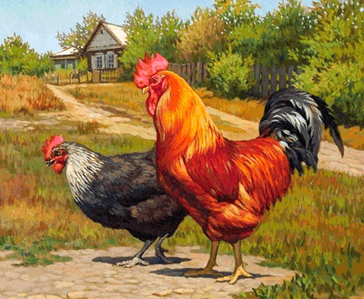 Курица и петух