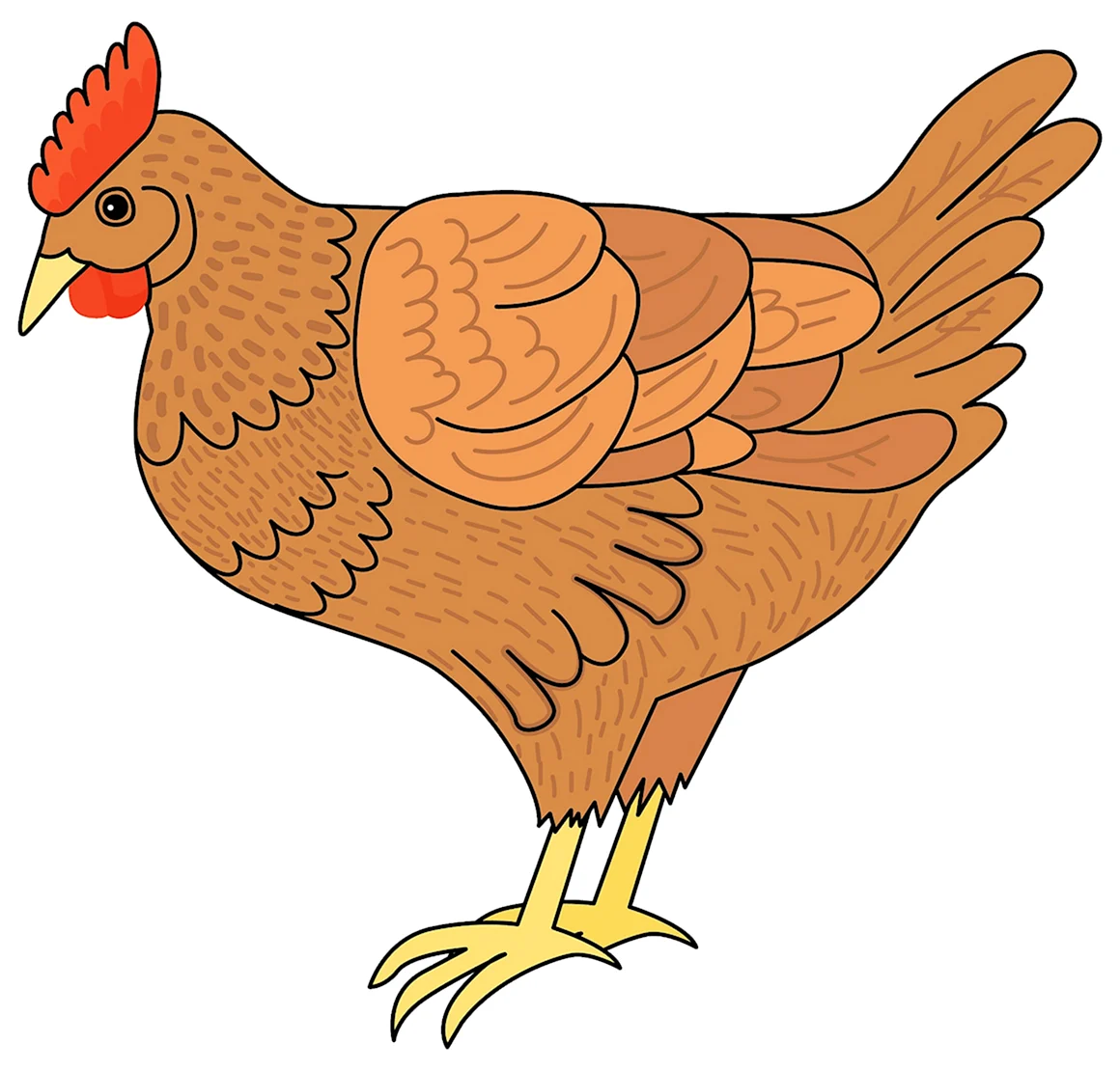 Курица клипарт