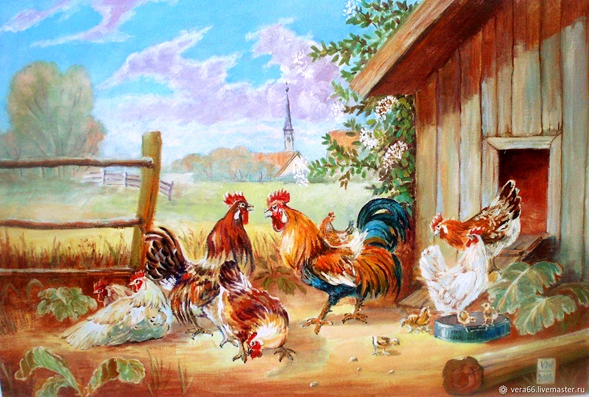 Куры и петухи сен Санс