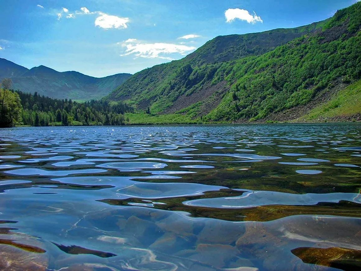 Кузнецкий Алатау река кия