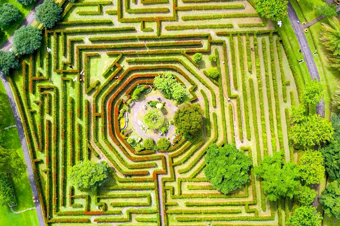 Лабиринт Ashcombe Maze