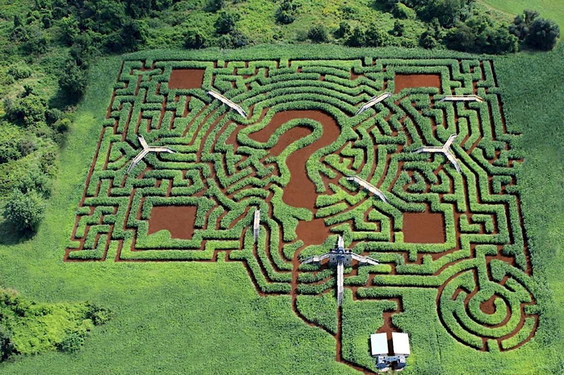 Лабиринт Davis Mega Maze