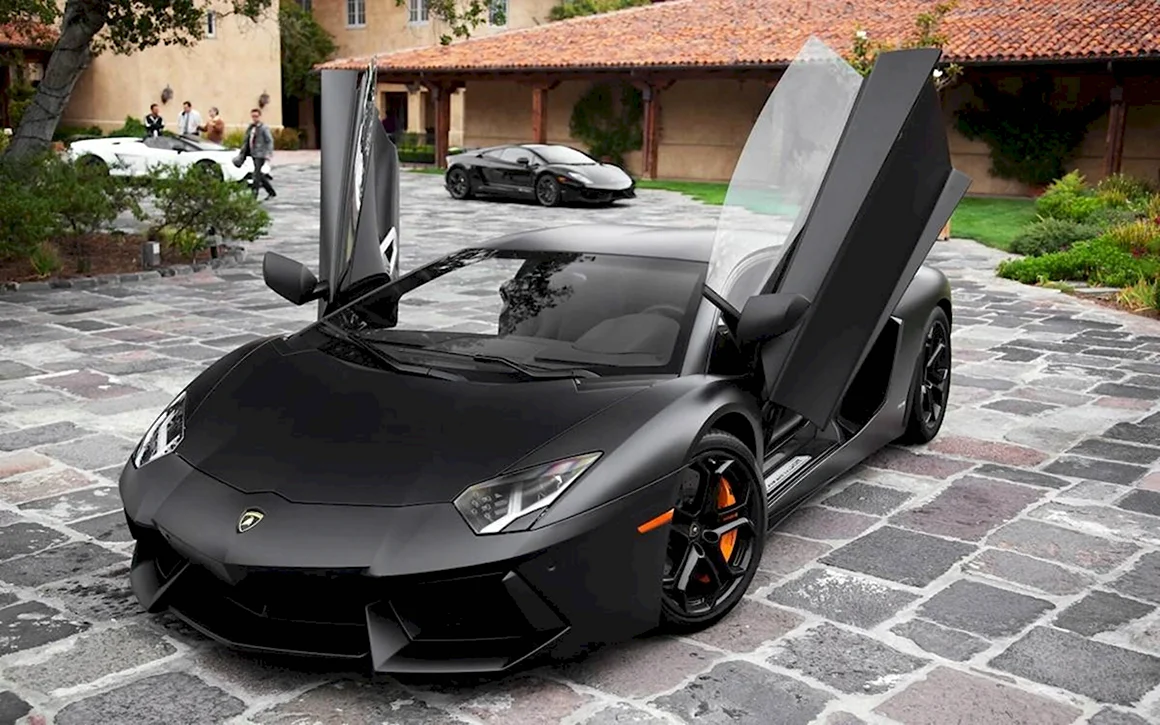 Lamborghini Aventador lp700-4 Black