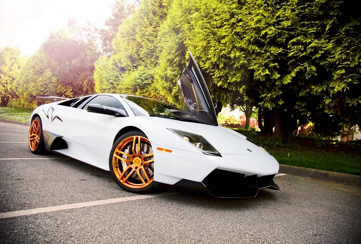 Lamborghini Murcielago lp670-4 SV
