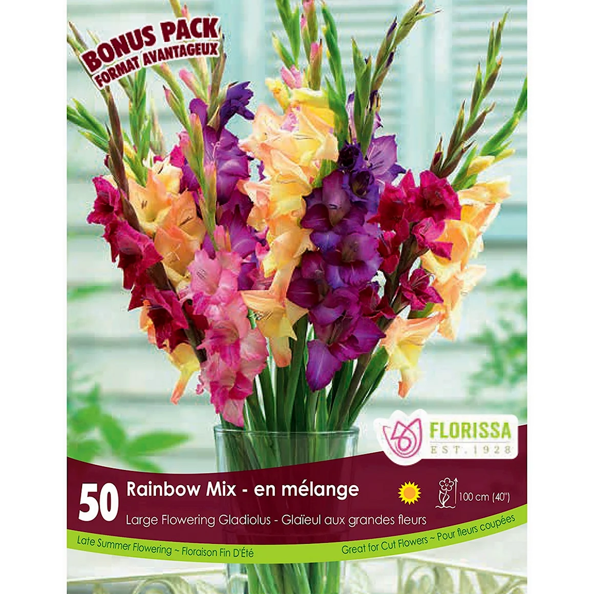 Large flowering Mix Гладиолус