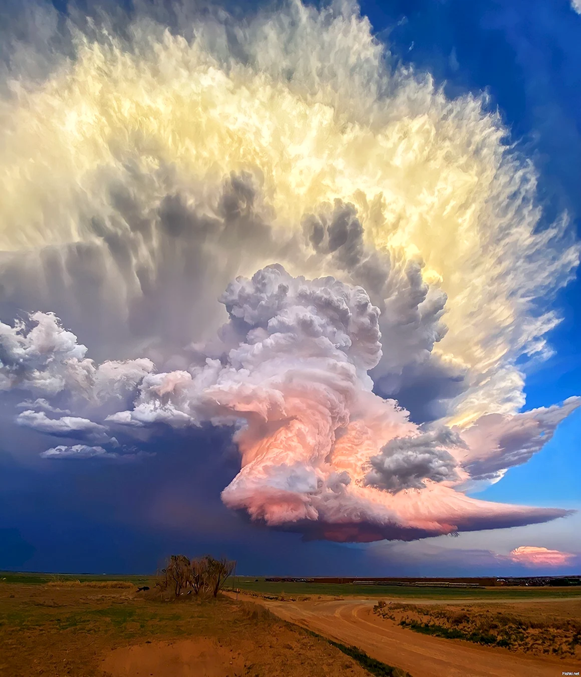 Laura Rowe Storm Chasing in West Texas