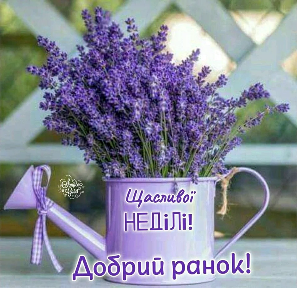 Лаванда цифры