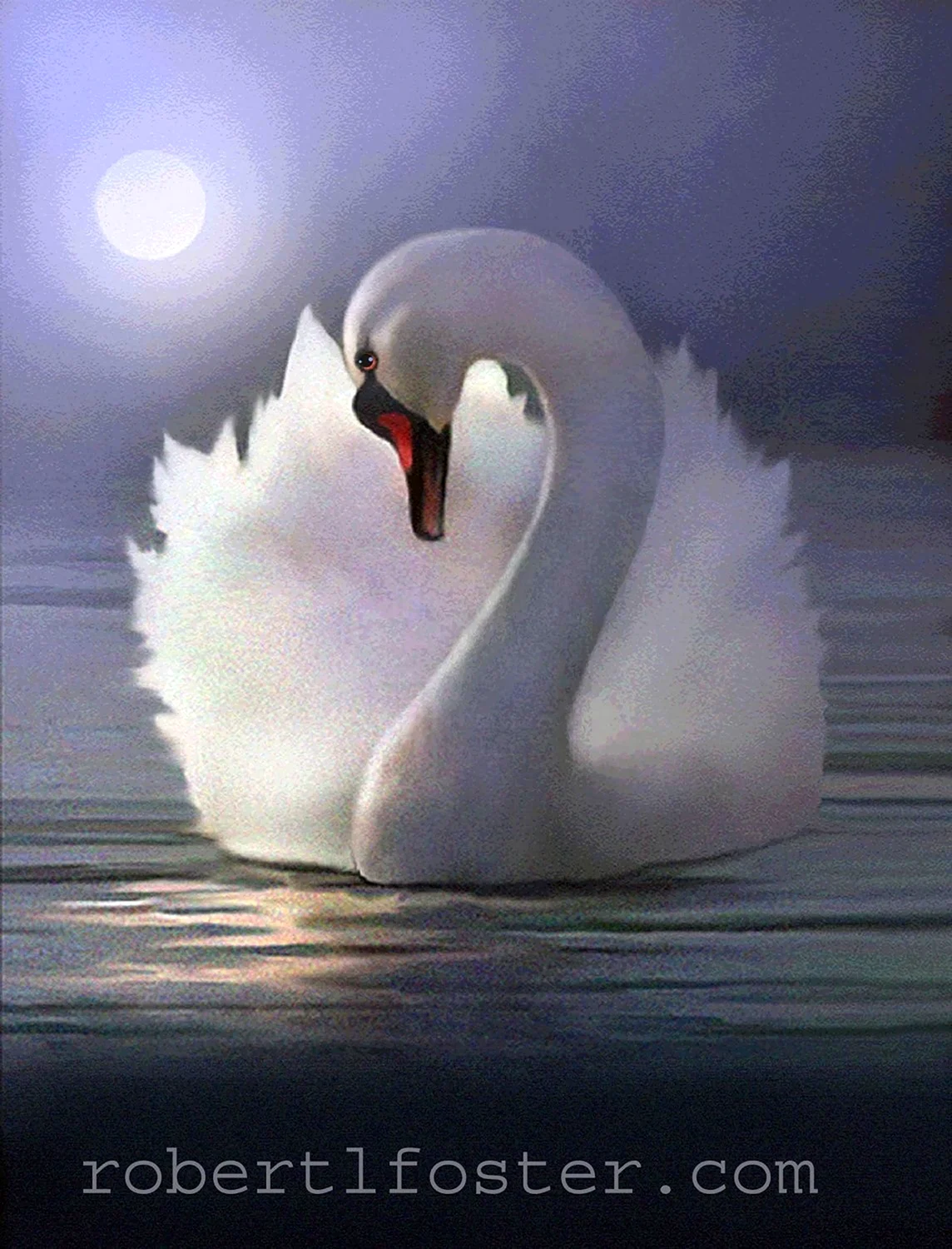Лебедь аватар